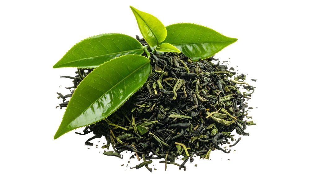 what is green tea-do green teas have caffeine-does green tea have caffeine-does green tea has caffeine-what is green tea