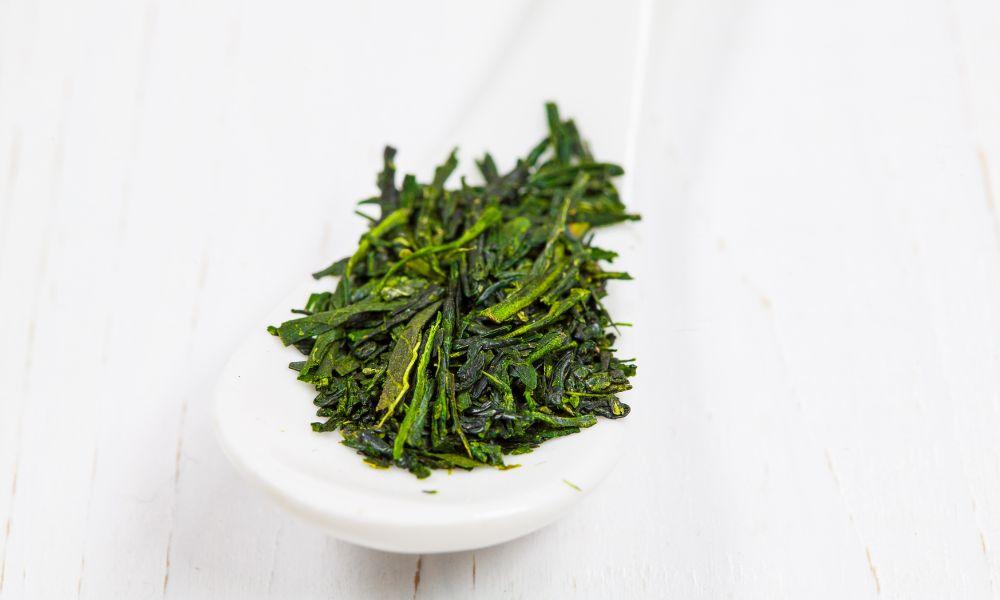 gyokuro Does Black Tea Have More Caffeine Than Green Tea? | Teapro