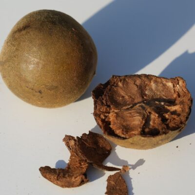 monk fruit tea Luo Han Guo