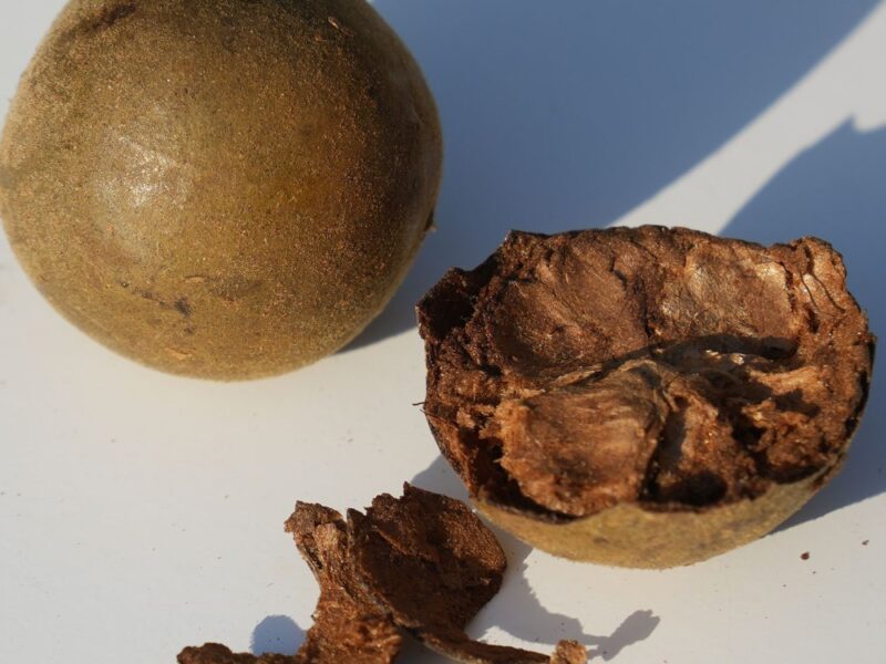monk fruit tea Luo Han Guo - what is monk fruit tea