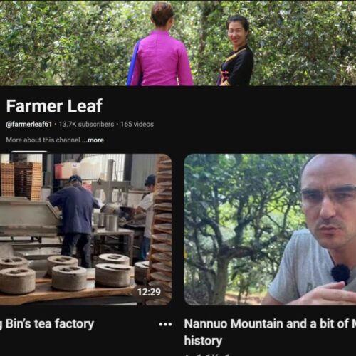 Farmer leaf - 16 best tea YouTube channel 2026