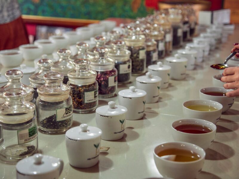 tea tasting palate - how to taste tea like a pro