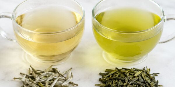 white tea vs green tea: which is healthier - featured image