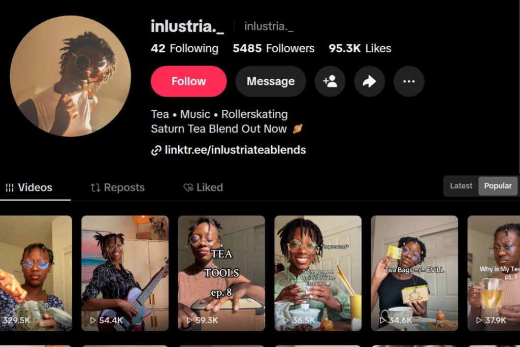 inlustria - best TikTokers to follow in 2026