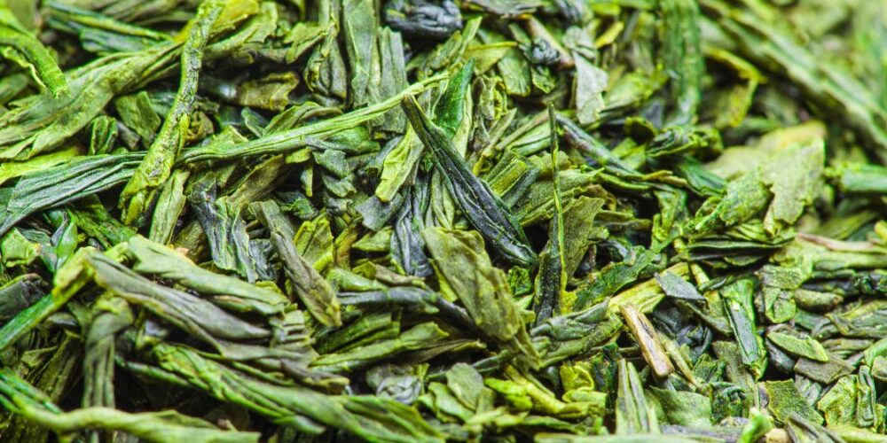 Sencha japanese green tea-japanese teas-japanese teas-japanese tea-japan tea-best japanese teas- premium japanese green tea,-japanese matcha-japanese sencha tea-gyokuro green tea- hojicha tea-genmaicha tea-kukicha tea-bancha green tea-japanese black tea-japanese oolong tea-japanese white tea