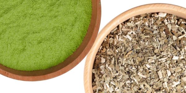 Yerba Mate vs Matcha-Yerba Mate vs Matcha Caffeine Taste and Health Compared