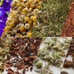 herbs for herbal tea blending, herbal tea blending, base herbs for tea, herbs for tea blending, DIY herbal tea blends, rooibos tea benefits, yerba mate benefits, chamomile tea benefits, butterfly pea tea benefits, lotus leaf tea benefits, how to blend herbal tea, base herbs, herb flavour profiles, tea flavour pairing, how to blend herbal tea, herbal tea combinations, flavour pairing for herbs, how to blend herbs for flavour
