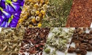 herbs for herbal tea blending, herbal tea blending, base herbs for tea, herbs for tea blending, DIY herbal tea blends, rooibos tea benefits, yerba mate benefits, chamomile tea benefits, butterfly pea tea benefits, lotus leaf tea benefits, how to blend herbal tea, base herbs, herb flavour profiles, tea flavour pairing, how to blend herbal tea, herbal tea combinations, flavour pairing for herbs, how to blend herbs for flavour