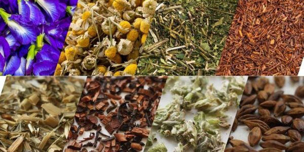 herbs for herbal tea blending, herbal tea blending, base herbs for tea, herbs for tea blending, DIY herbal tea blends, rooibos tea benefits, yerba mate benefits, chamomile tea benefits, butterfly pea tea benefits, lotus leaf tea benefits, how to blend herbal tea, base herbs, herb flavour profiles, tea flavour pairing, how to blend herbal tea, herbal tea combinations, flavour pairing for herbs, how to blend herbs for flavour