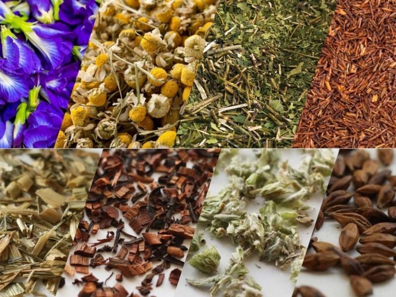 herbs for herbal tea blending, herbal tea blending, base herbs for tea, herbs for tea blending, DIY herbal tea blends, rooibos tea benefits, yerba mate benefits, chamomile tea benefits, butterfly pea tea benefits, lotus leaf tea benefits, how to blend herbal tea, base herbs, herb flavour profiles, tea flavour pairing, how to blend herbal tea, herbal tea combinations, flavour pairing for herbs, how to blend herbs for flavour