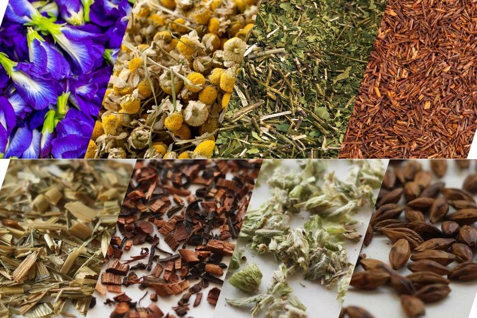 herbs for herbal tea blending, herbal tea blending, base herbs for tea, herbs for tea blending, DIY herbal tea blends, rooibos tea benefits, yerba mate benefits, chamomile tea benefits, butterfly pea tea benefits, lotus leaf tea benefits, how to blend herbal tea, base herbs, herb flavour profiles, tea flavour pairing, how to blend herbal tea, herbal tea combinations, flavour pairing for herbs, how to blend herbs for flavour