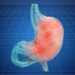7 best teas for digestion