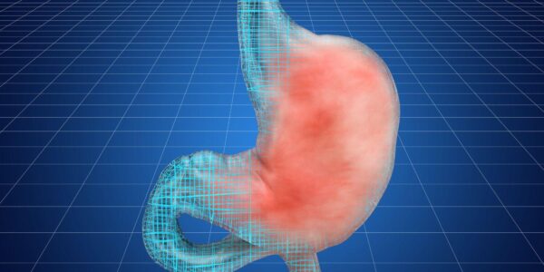 7 best teas for digestion