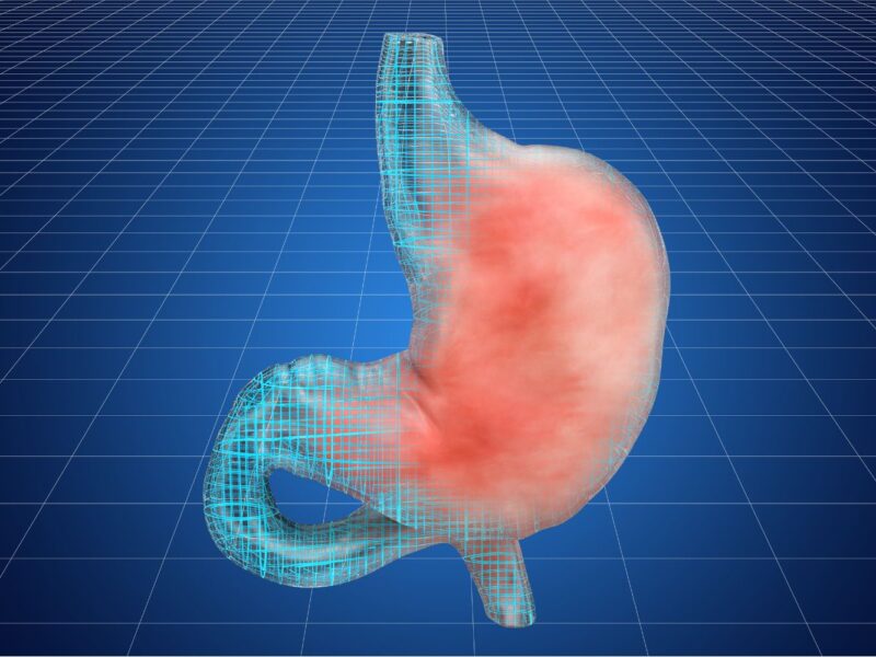 7 best teas for digestion